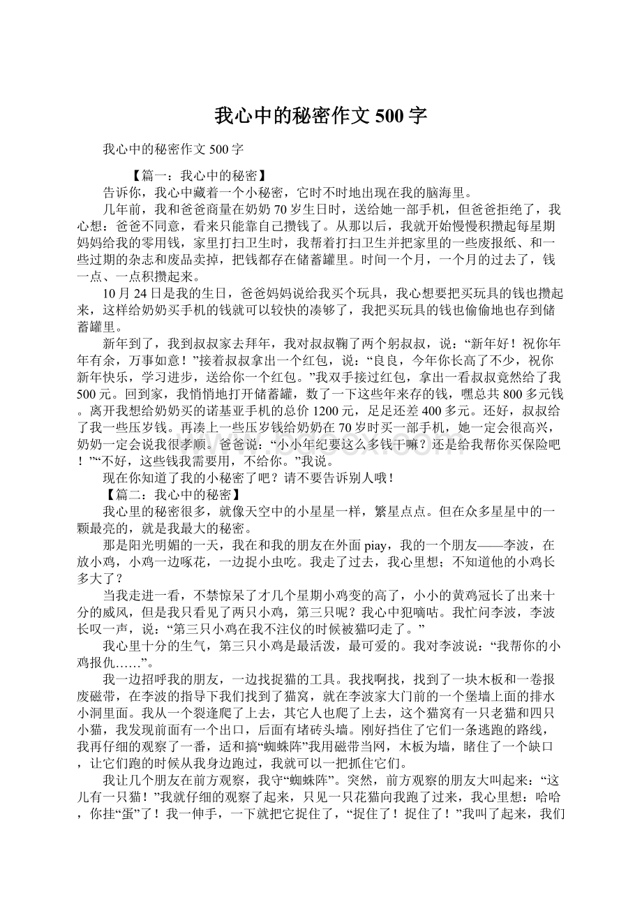 我心中的秘密作文500字Word格式.docx