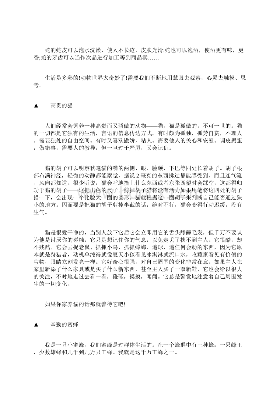 关于动物的说明作文文档格式.docx_第2页