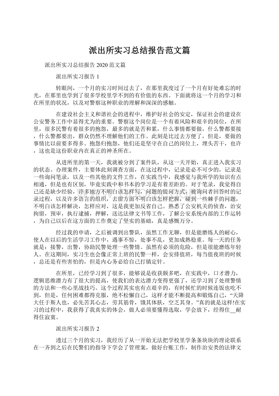 派出所实习总结报告范文篇.docx