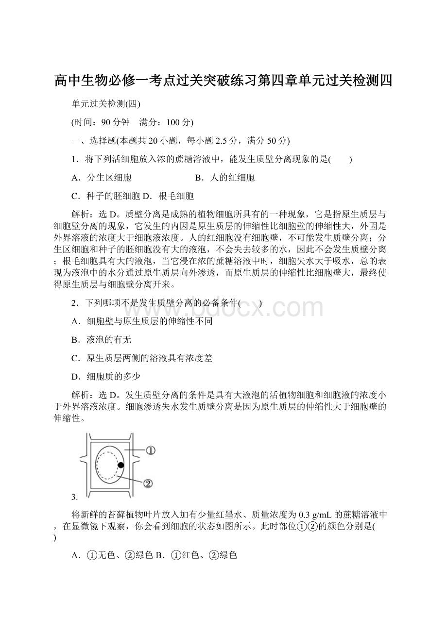 高中生物必修一考点过关突破练习第四章单元过关检测四Word文件下载.docx