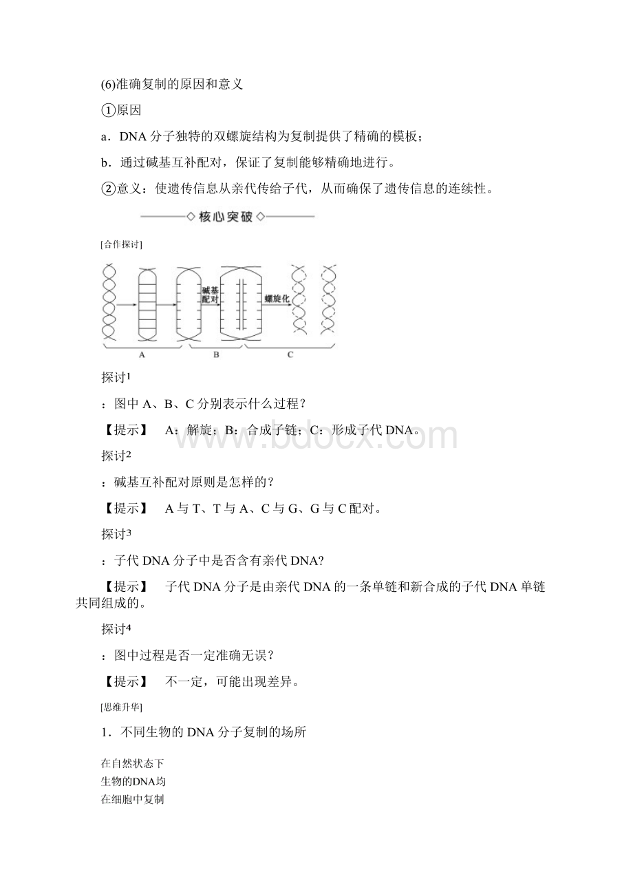 学年高中生物第4章遗传的分子基础第2节DNA分子的结构和复制第2课时DNA分子的复制学案文档格式.docx_第3页