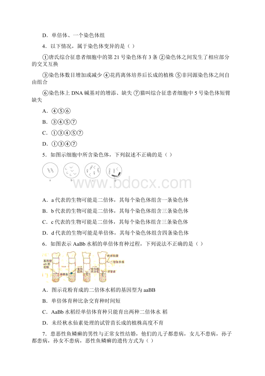 高二生物期末复习练习四.docx_第2页