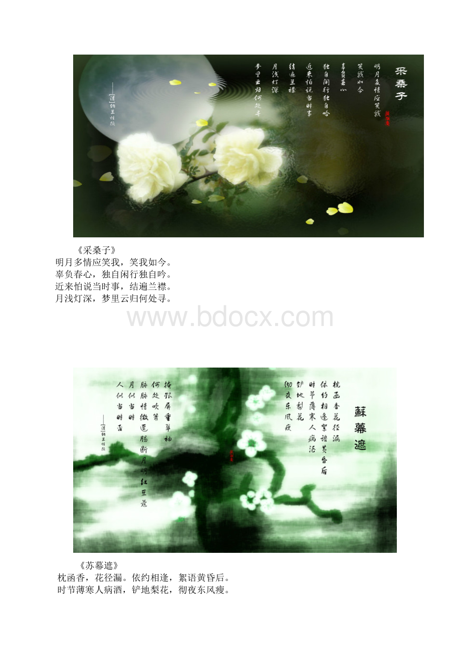 纳兰性德.docx_第2页