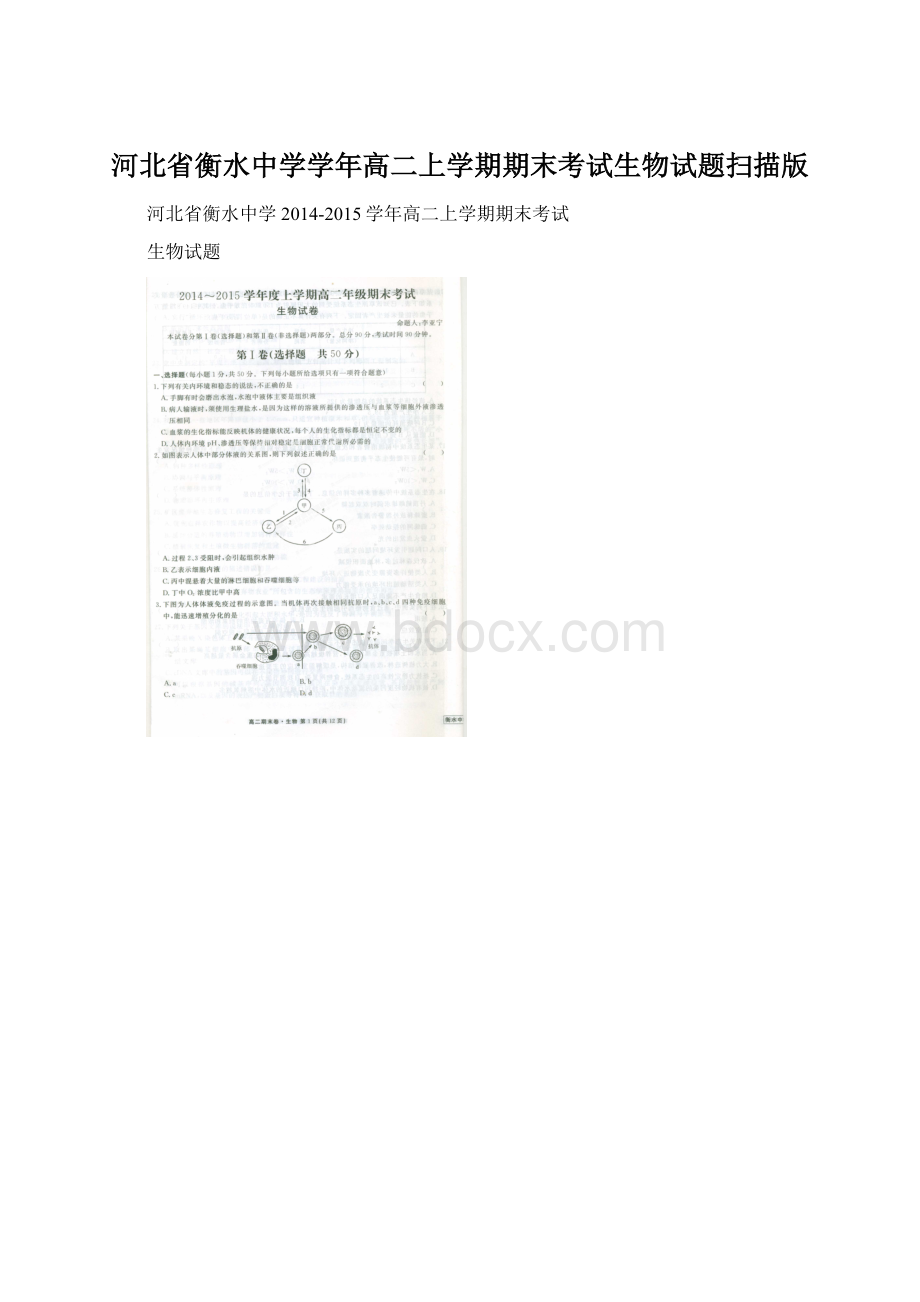 河北省衡水中学学年高二上学期期末考试生物试题扫描版Word文档格式.docx