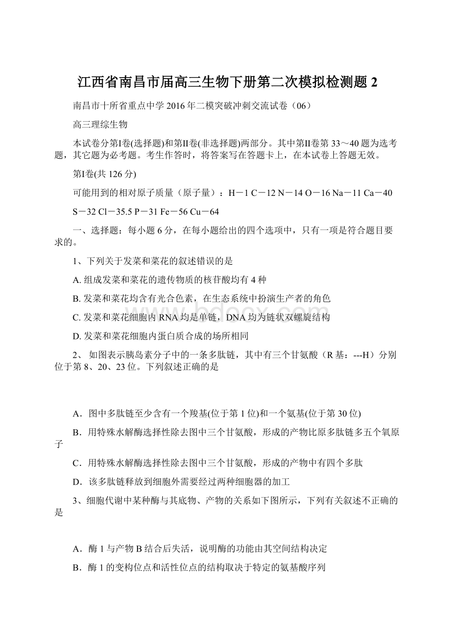 江西省南昌市届高三生物下册第二次模拟检测题2.docx_第1页