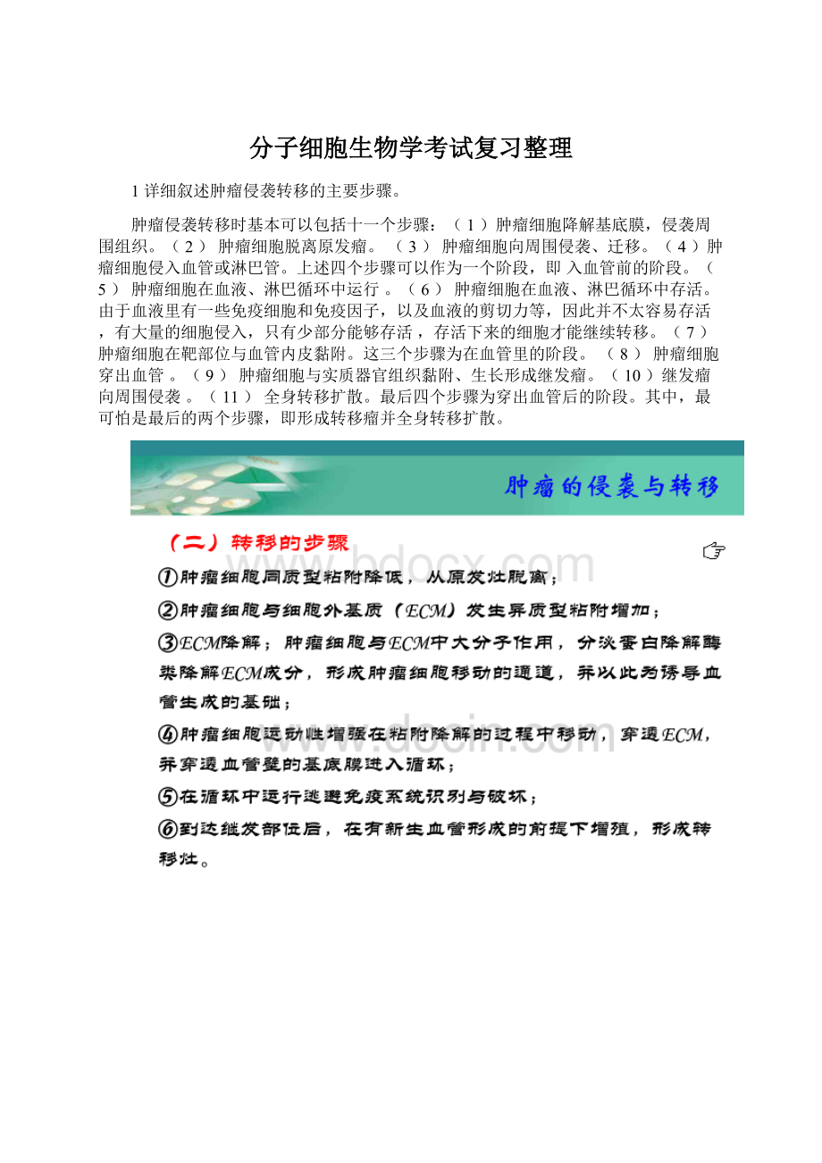 分子细胞生物学考试复习整理.docx_第1页