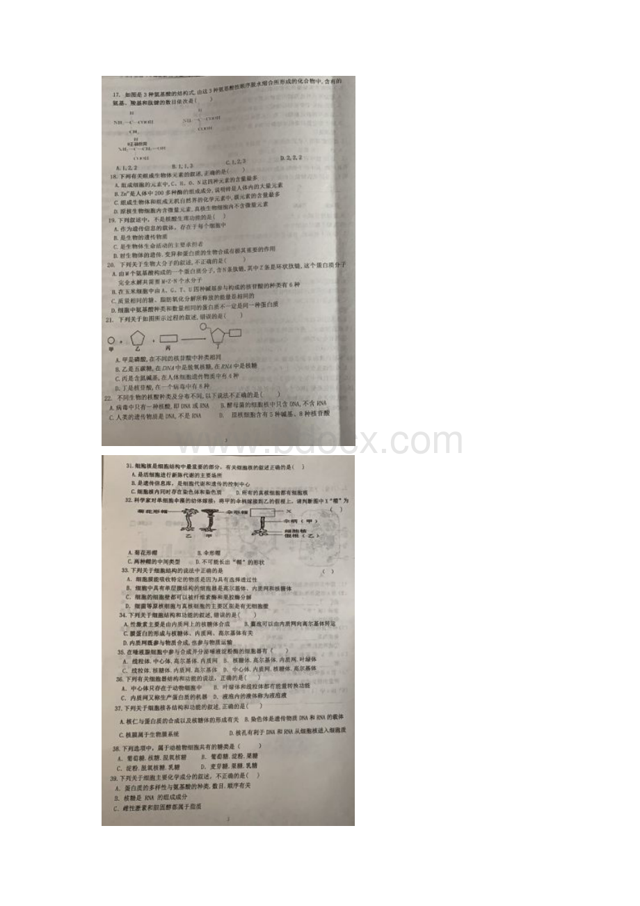 河北省唐山市滦南县第二中学学年高一上学期期中考试生物试题 扫描版含答案.docx_第3页