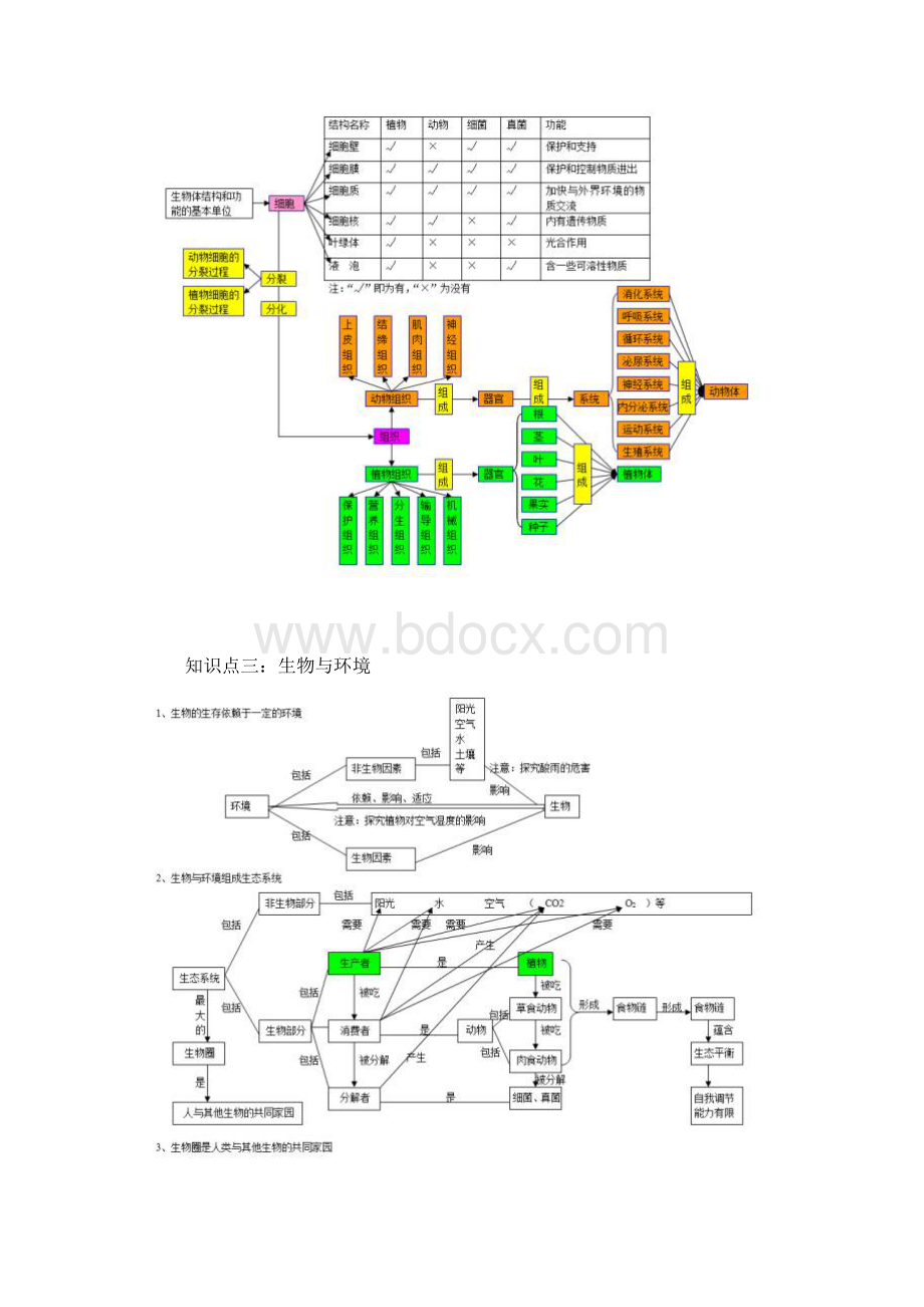 最新初中生物思维导图.docx_第2页