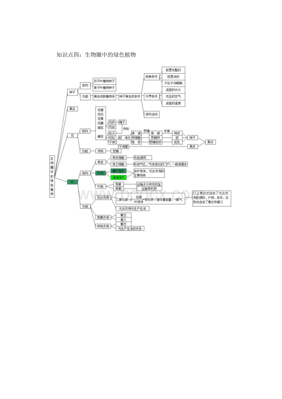 最新初中生物思维导图.docx_第3页