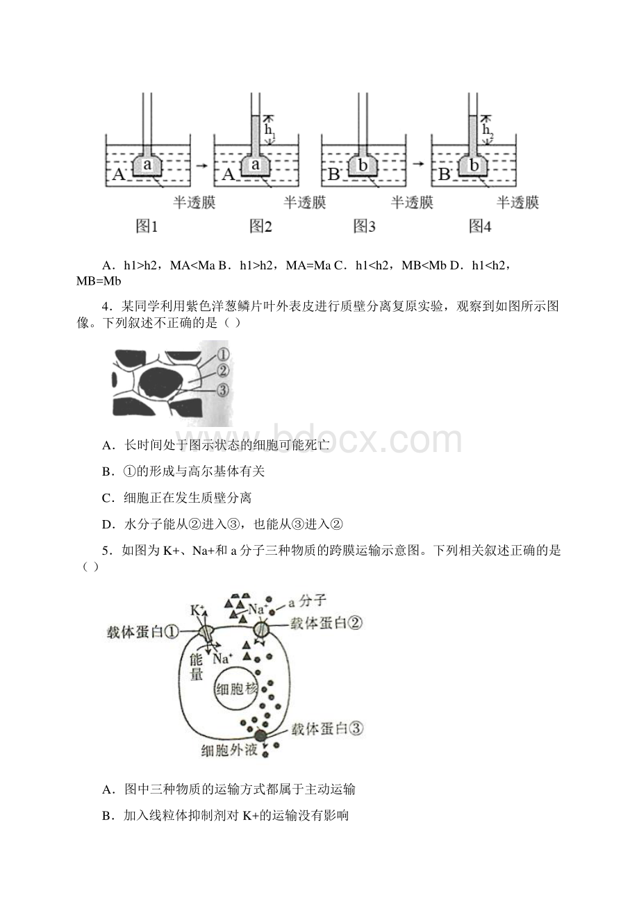 辽宁大连理工大学附属高级中学高中生物必修一测试题附答案.docx_第2页