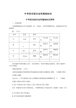 中考语言综合运用基础知识.docx