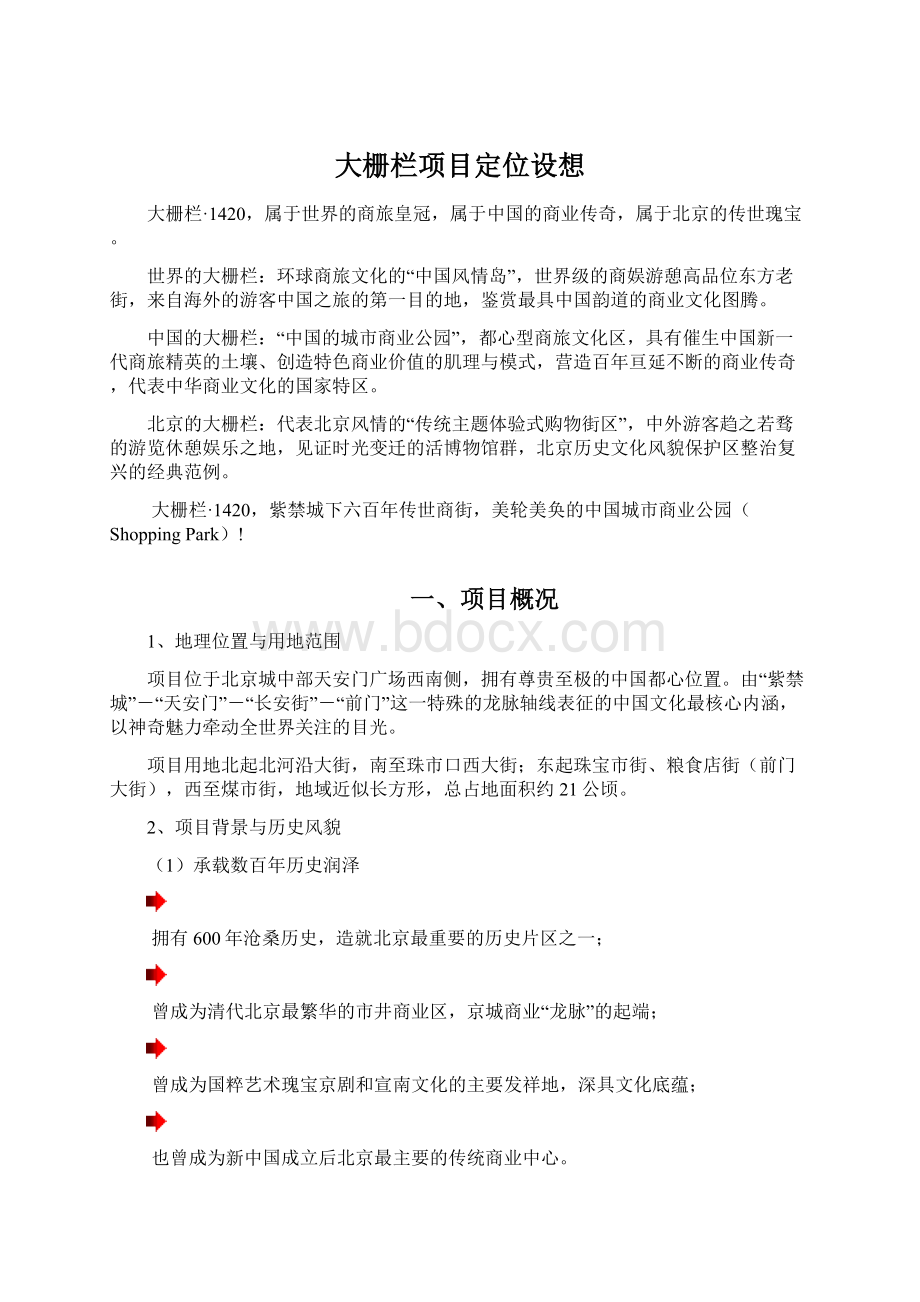 大栅栏项目定位设想.docx_第1页