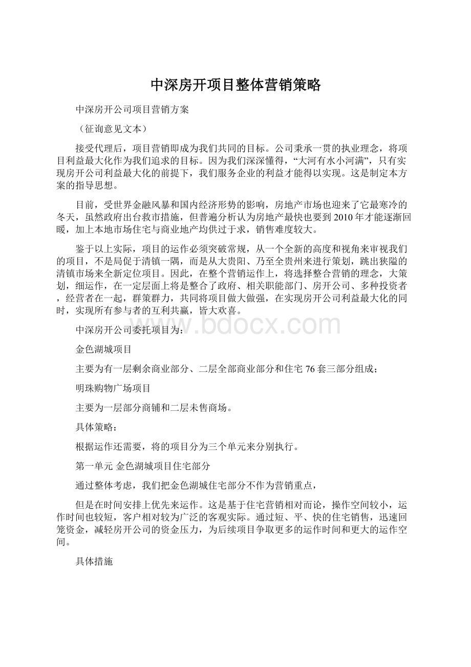 中深房开项目整体营销策略文档格式.docx