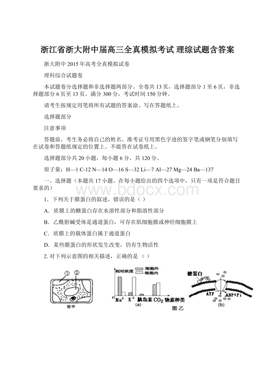 浙江省浙大附中届高三全真模拟考试 理综试题含答案Word格式.docx