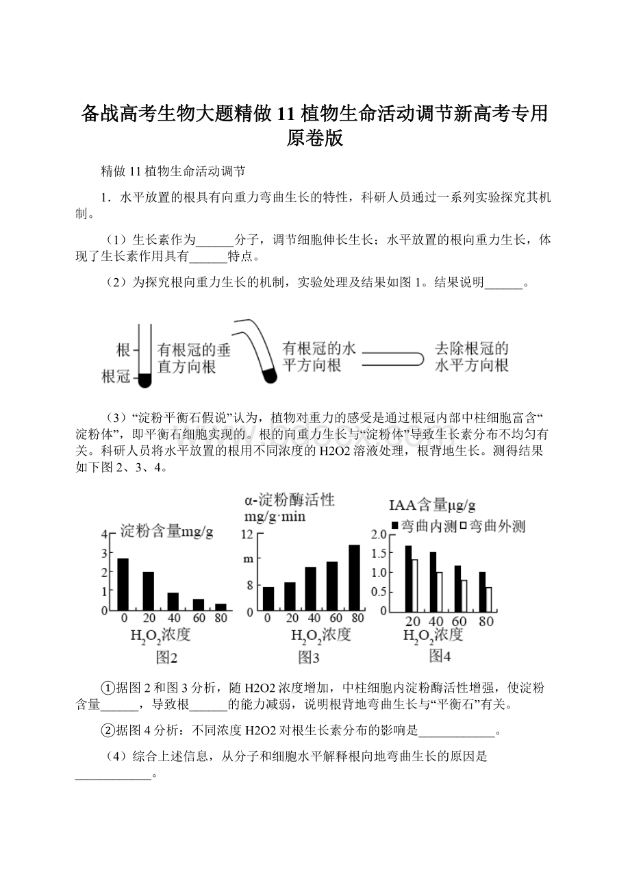 备战高考生物大题精做11 植物生命活动调节新高考专用原卷版文档格式.docx