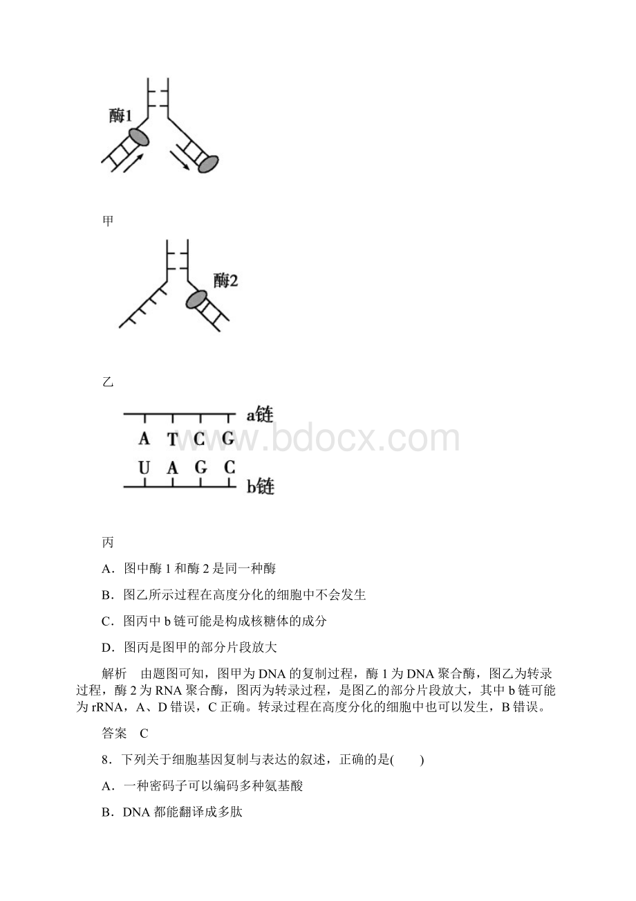 高一生物人教版必修2单元测评4单元测评 基因的表达 Word版含答案.docx_第3页