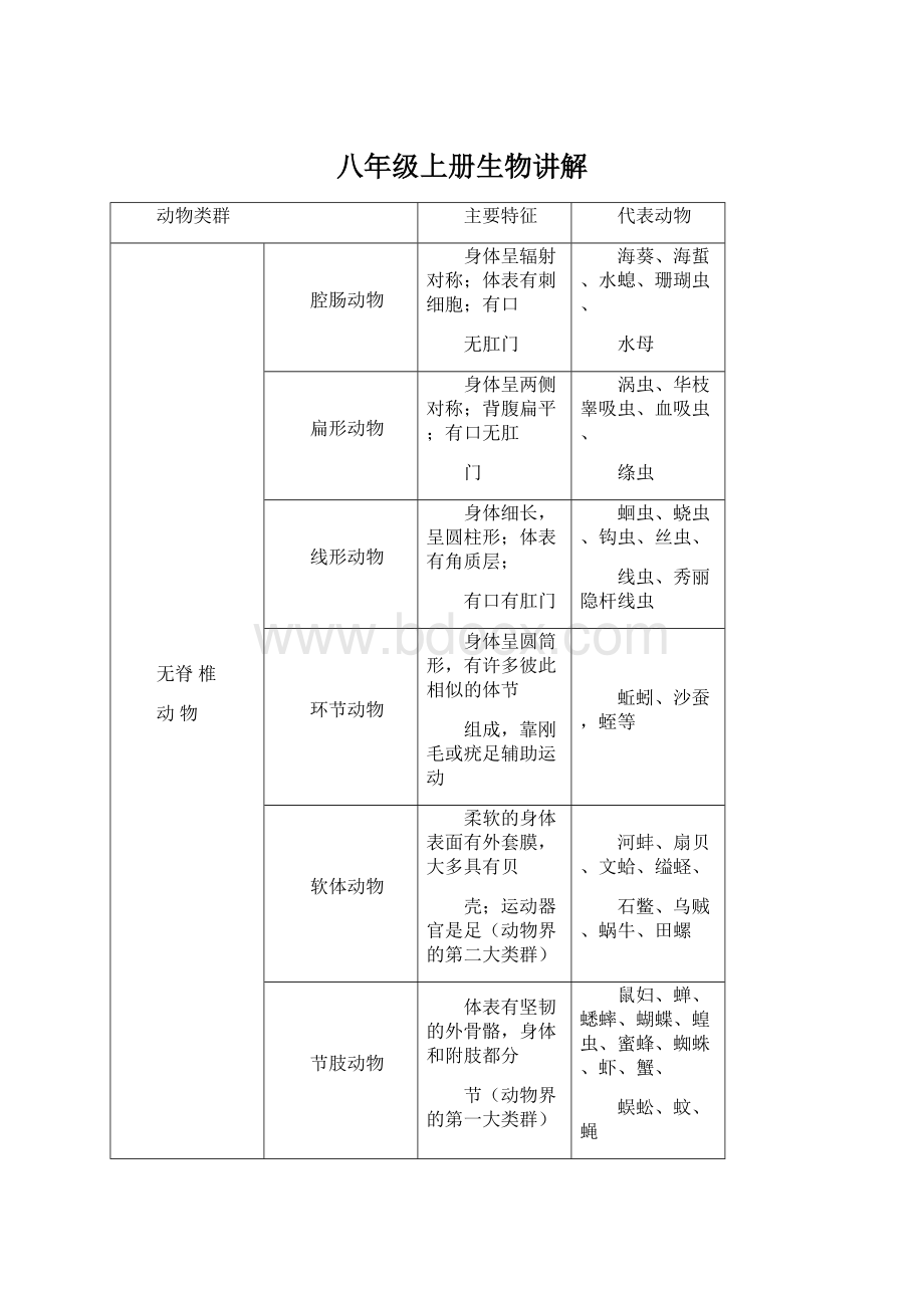 八年级上册生物讲解Word文档格式.docx