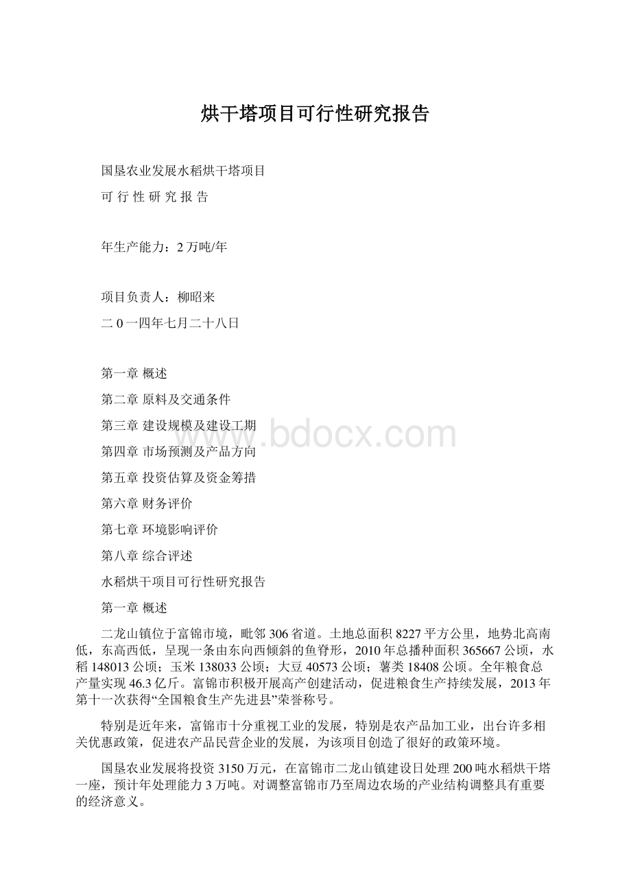 烘干塔项目可行性研究报告.docx_第1页