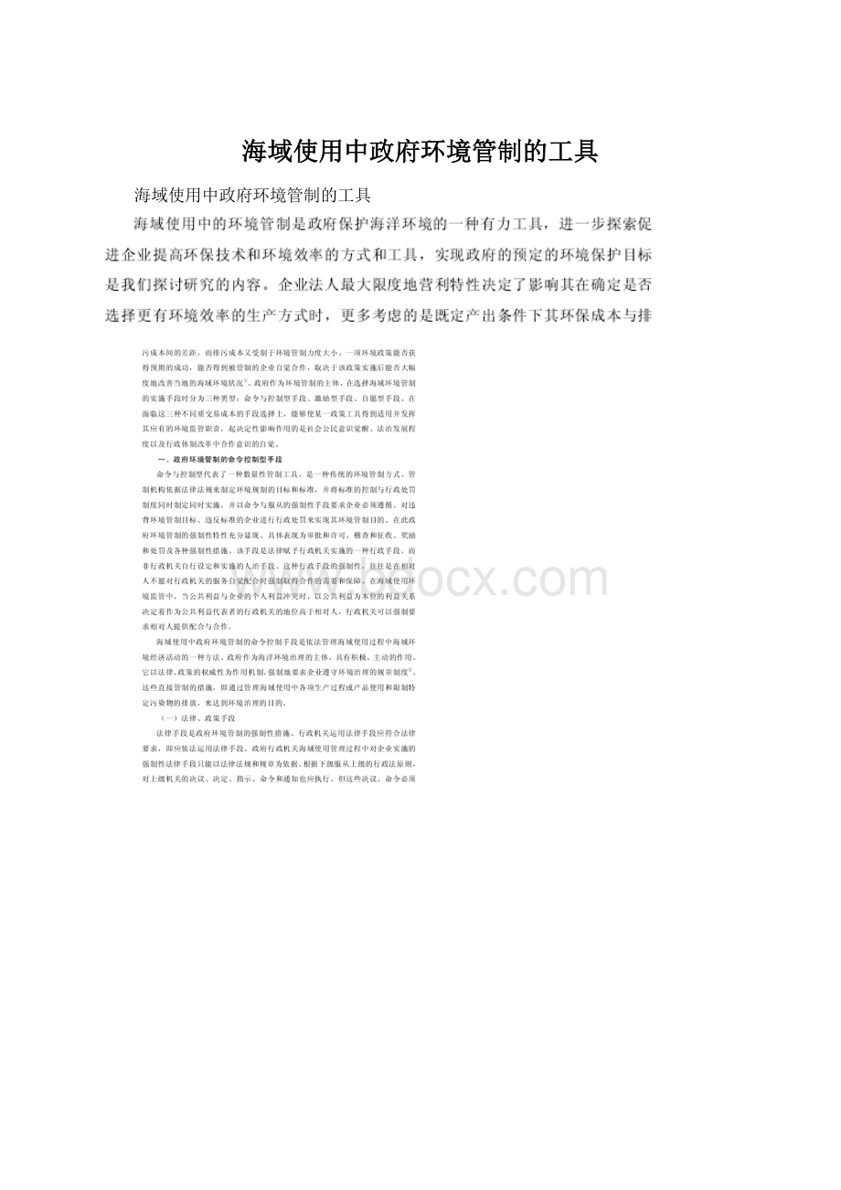 海域使用中政府环境管制的工具.docx_第1页