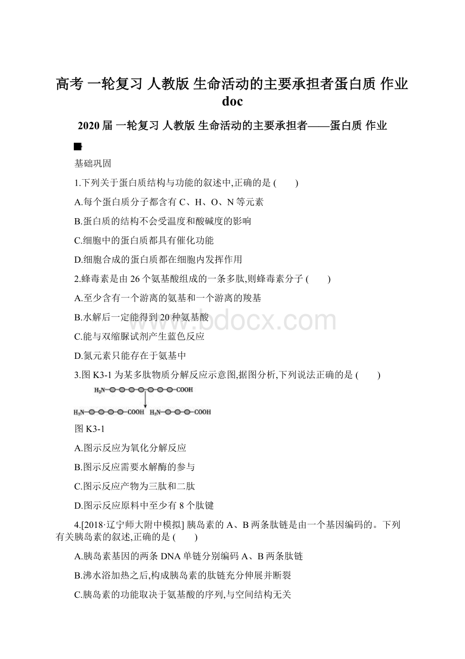 高考 一轮复习人教版 生命活动的主要承担者蛋白质作业docWord格式文档下载.docx