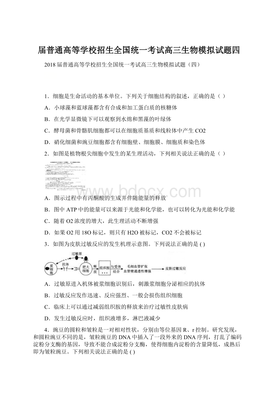 届普通高等学校招生全国统一考试高三生物模拟试题四.docx_第1页