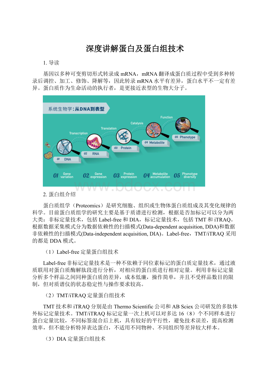 深度讲解蛋白及蛋白组技术Word文档下载推荐.docx