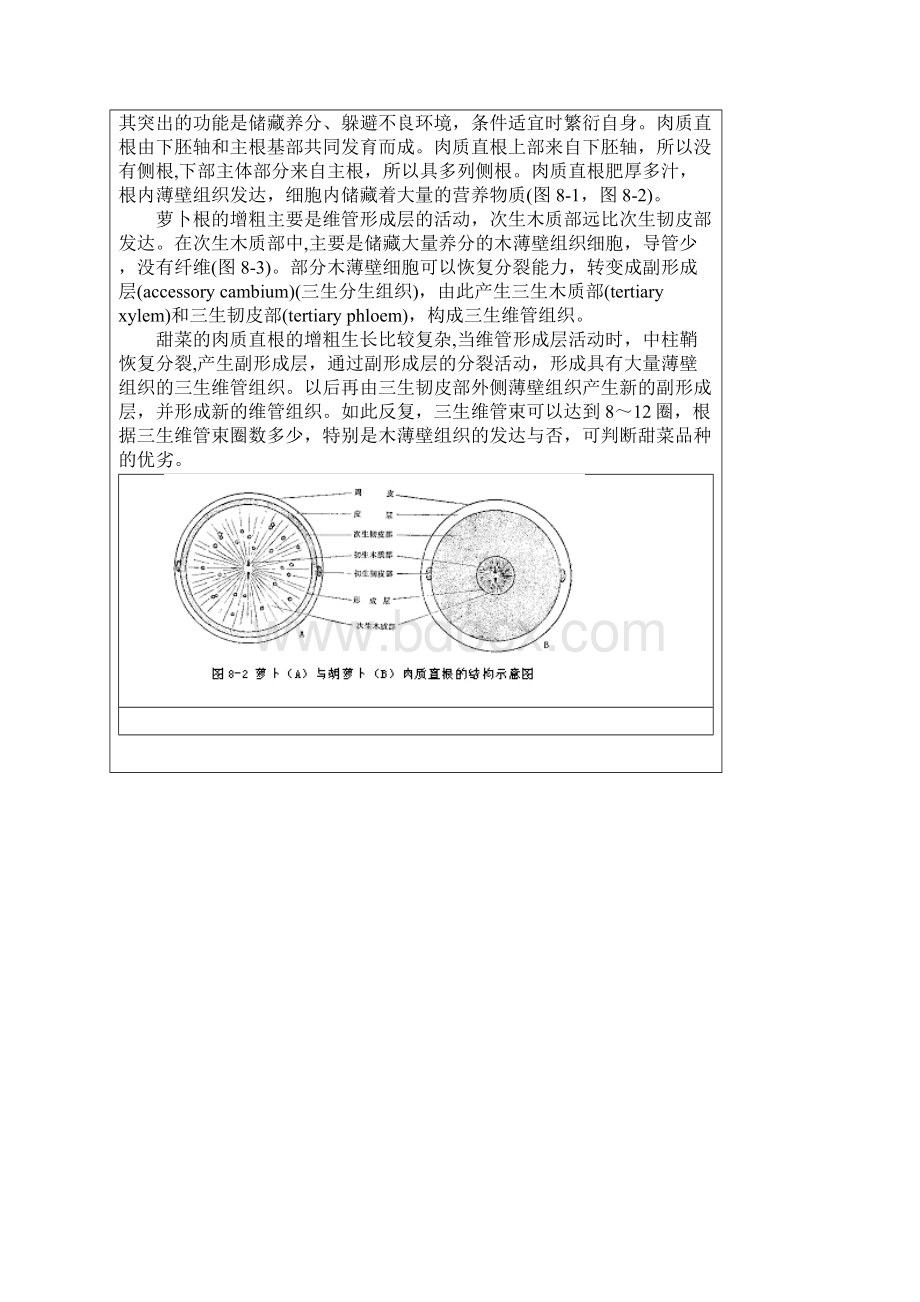 第八章植物的适应性整体性与相关性doc.docx_第2页