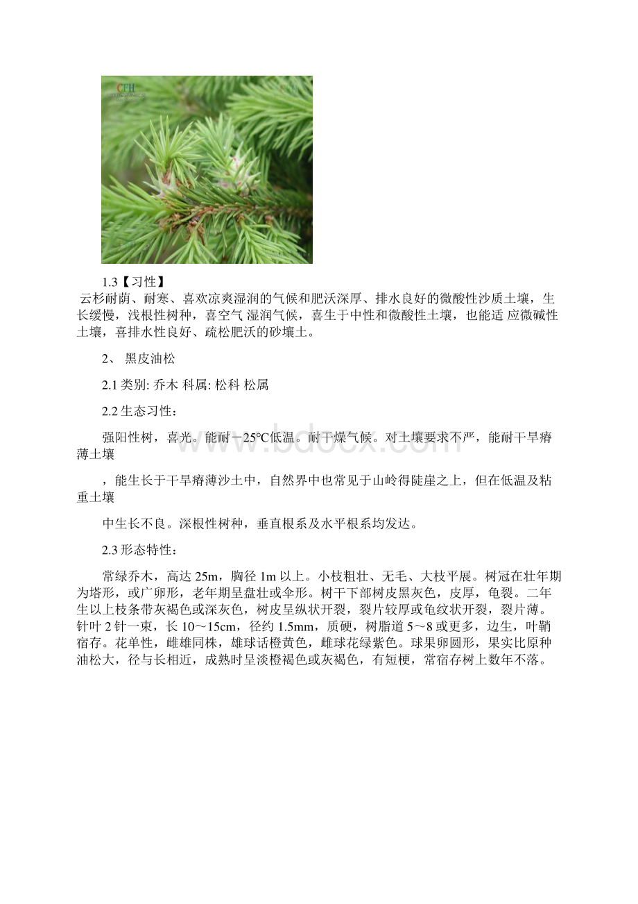 树木名称及特征.docx_第2页