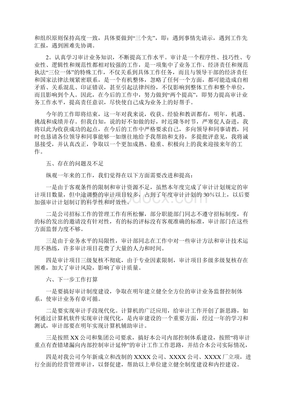 审计员试用期工作总结文档格式.docx_第2页