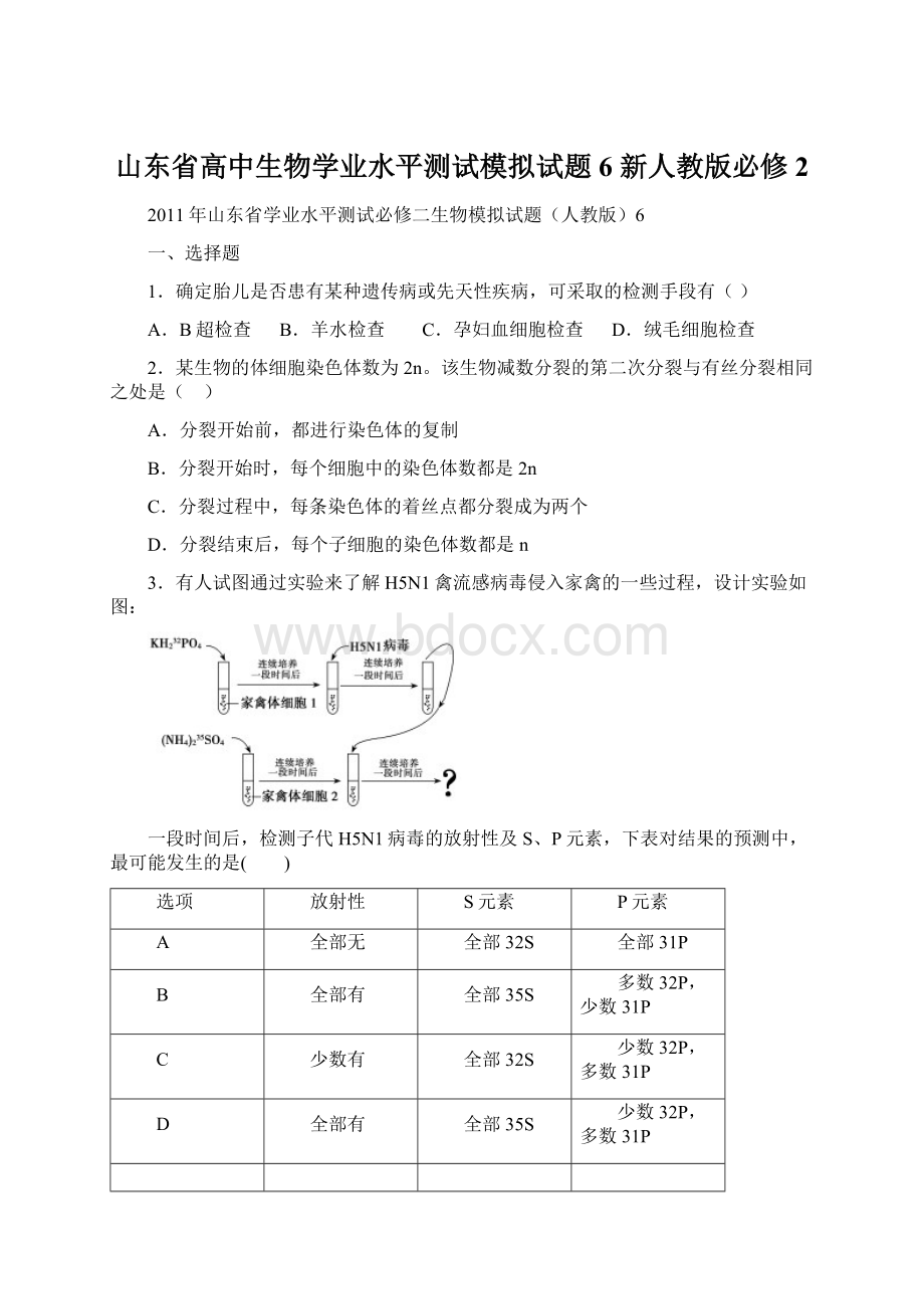 山东省高中生物学业水平测试模拟试题6 新人教版必修2Word格式文档下载.docx