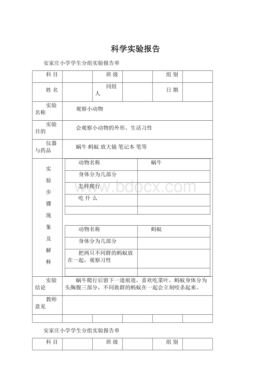 科学实验报告.docx