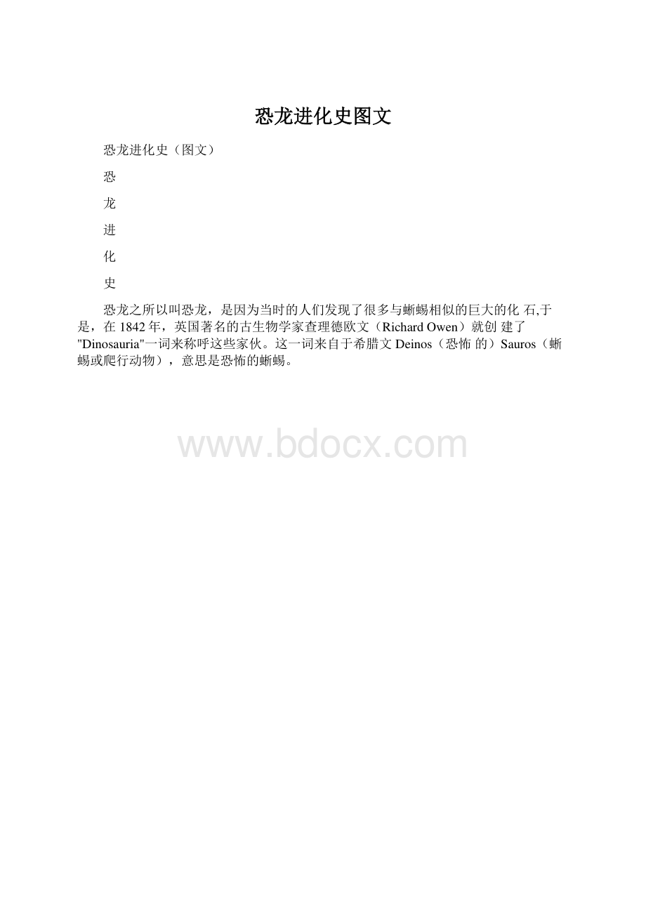 恐龙进化史图文.docx