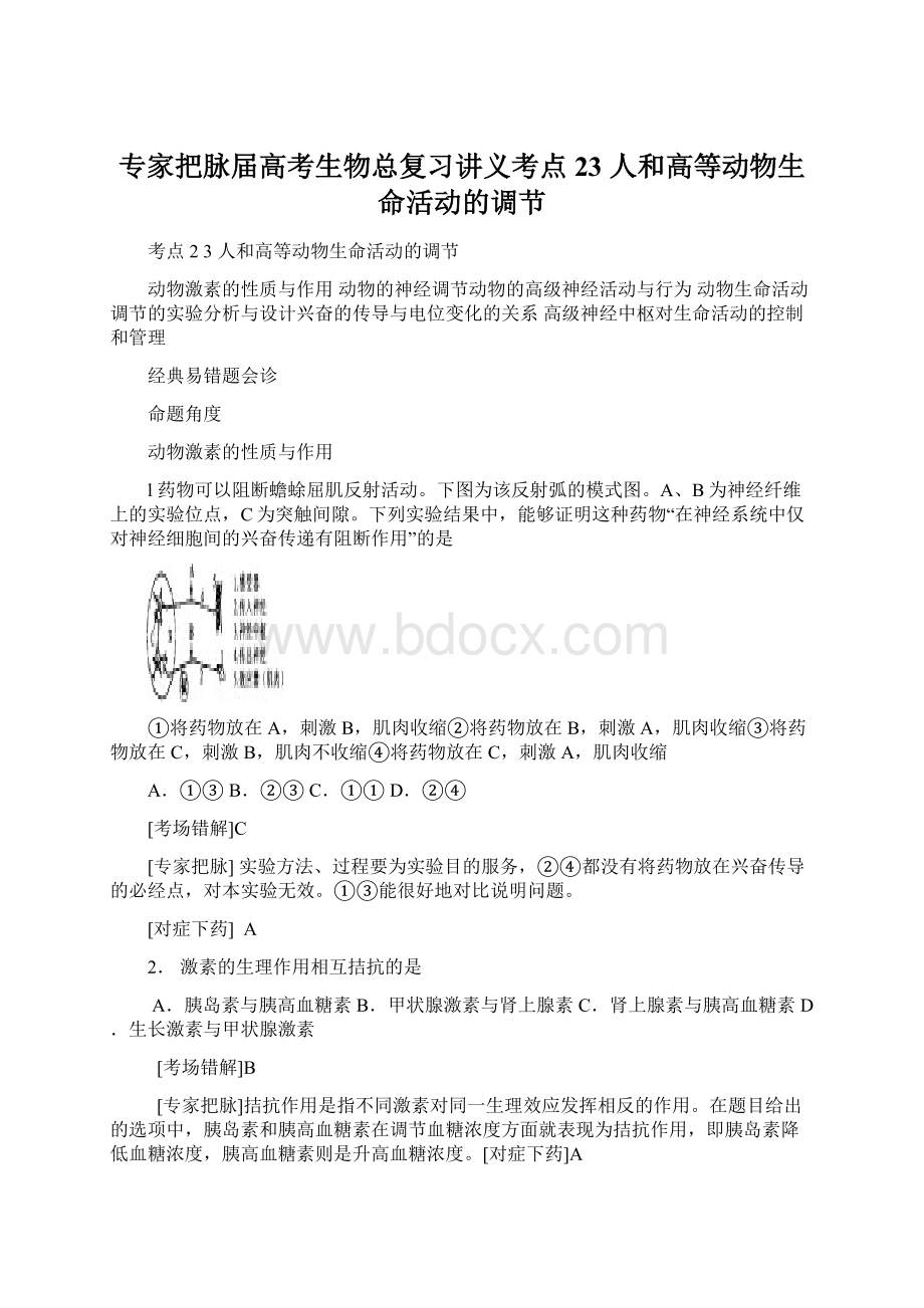 专家把脉届高考生物总复习讲义考点23 人和高等动物生命活动的调节Word格式.docx