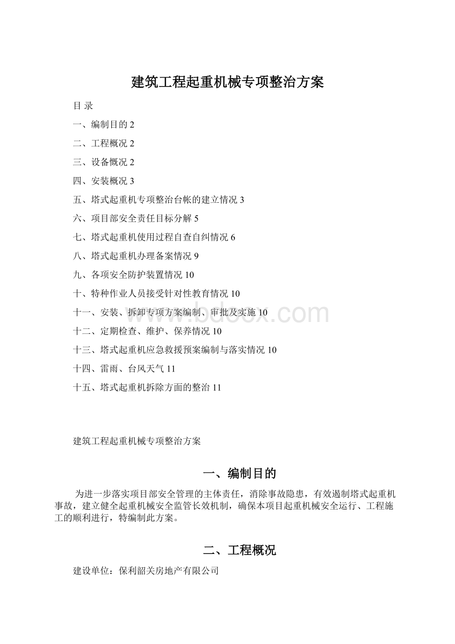 建筑工程起重机械专项整治方案文档格式.docx_第1页