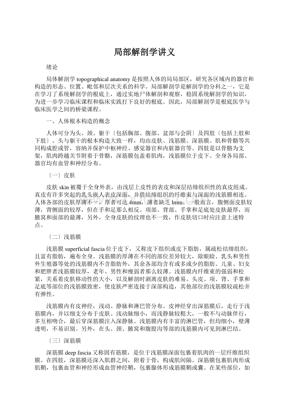 局部解剖学讲义Word格式文档下载.docx_第1页