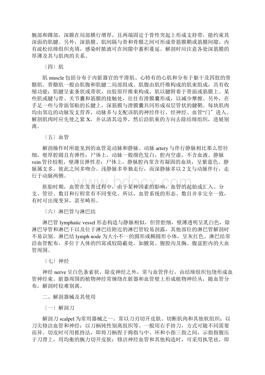 局部解剖学讲义Word格式文档下载.docx_第2页