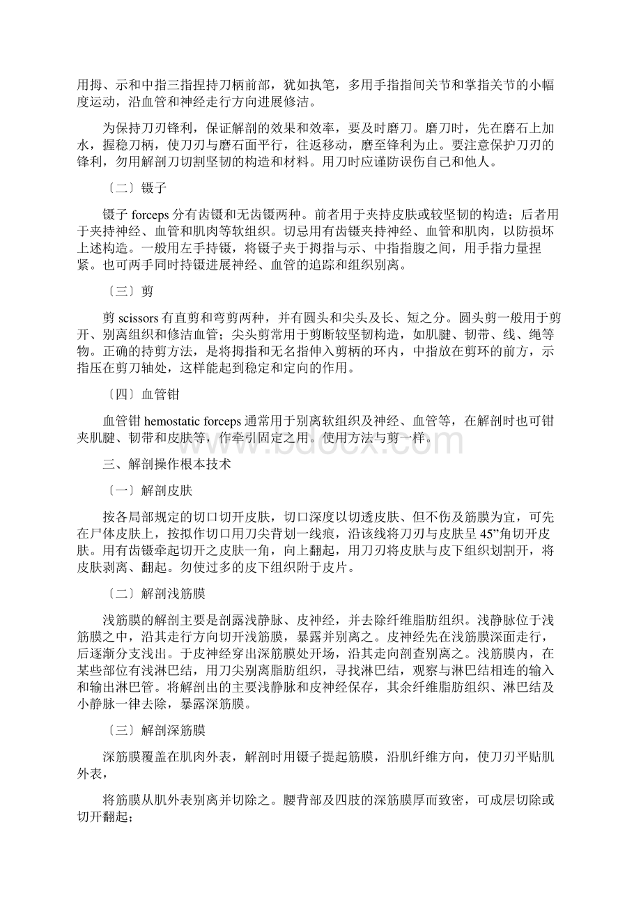 局部解剖学讲义Word格式文档下载.docx_第3页