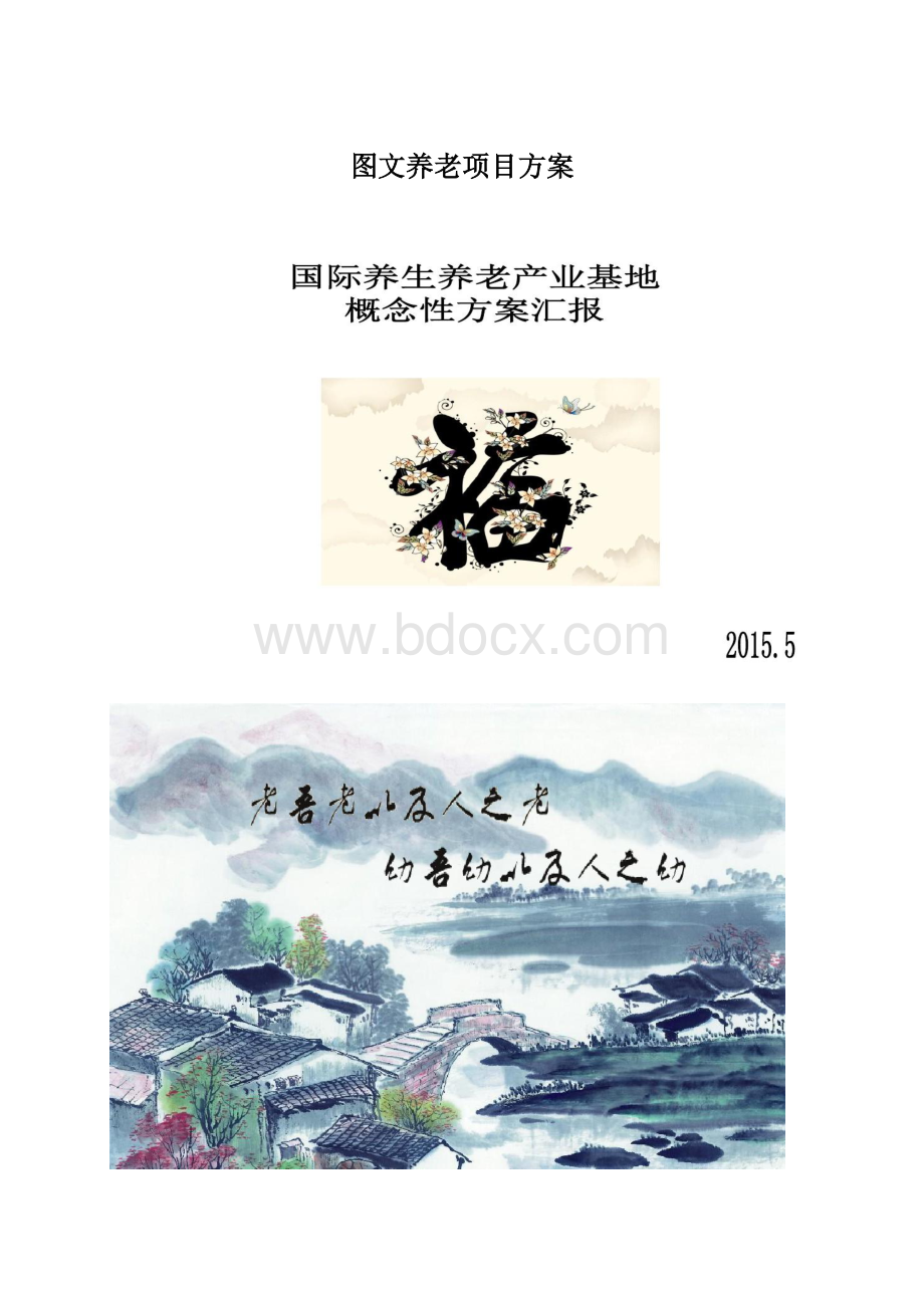 图文养老项目方案.docx_第1页