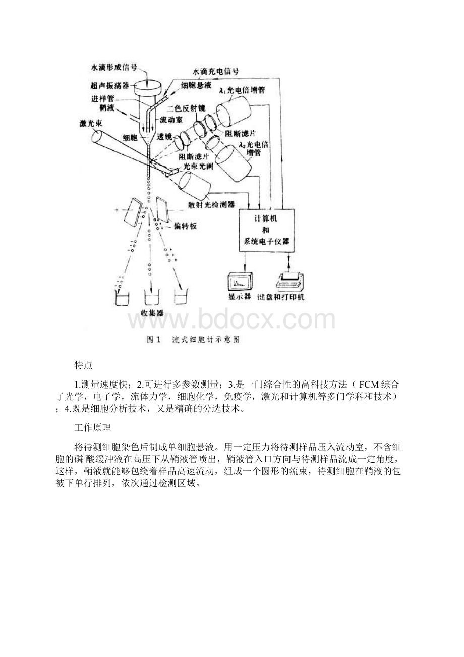 流式细胞术Word文件下载.docx_第2页