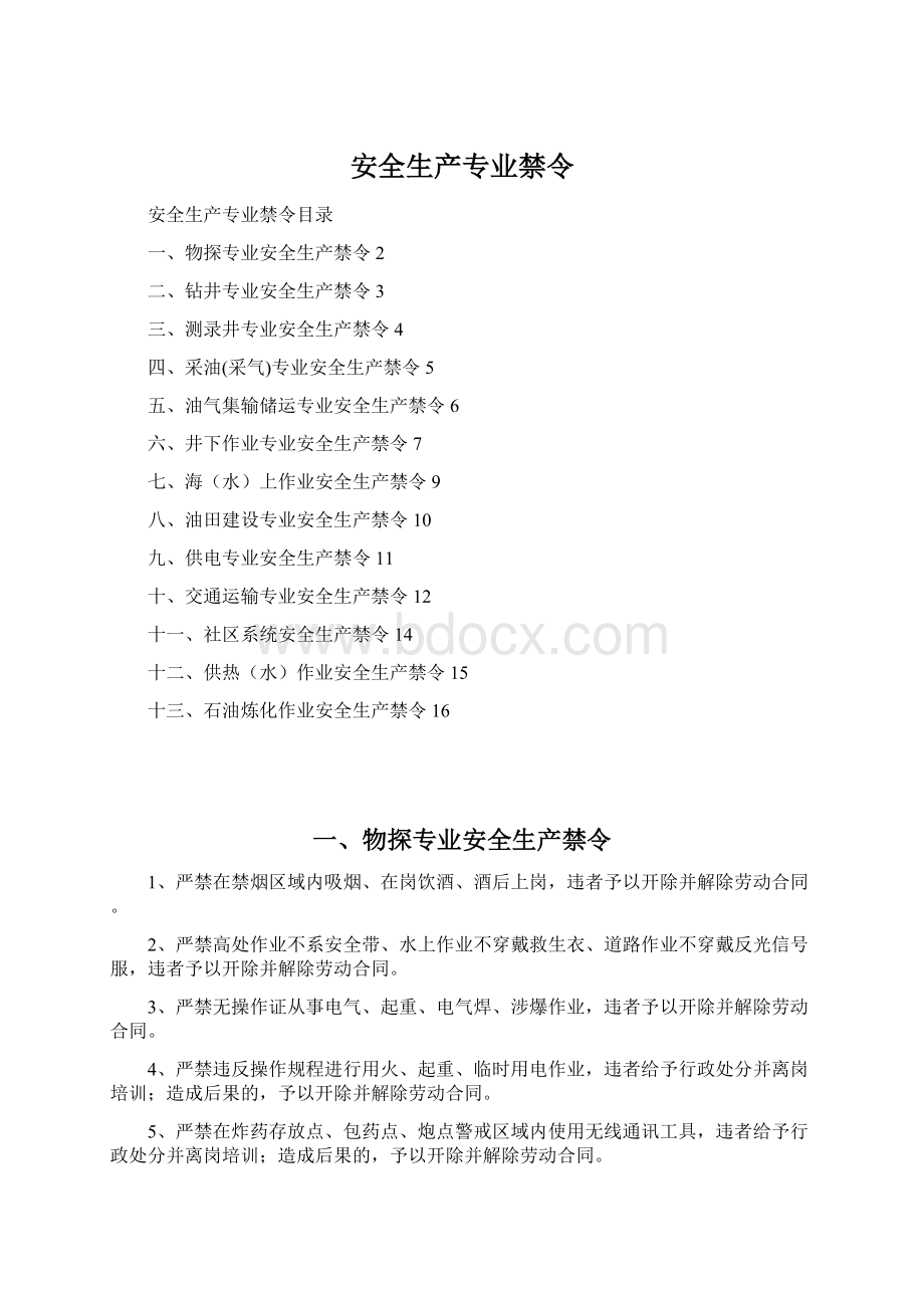 安全生产专业禁令.docx_第1页