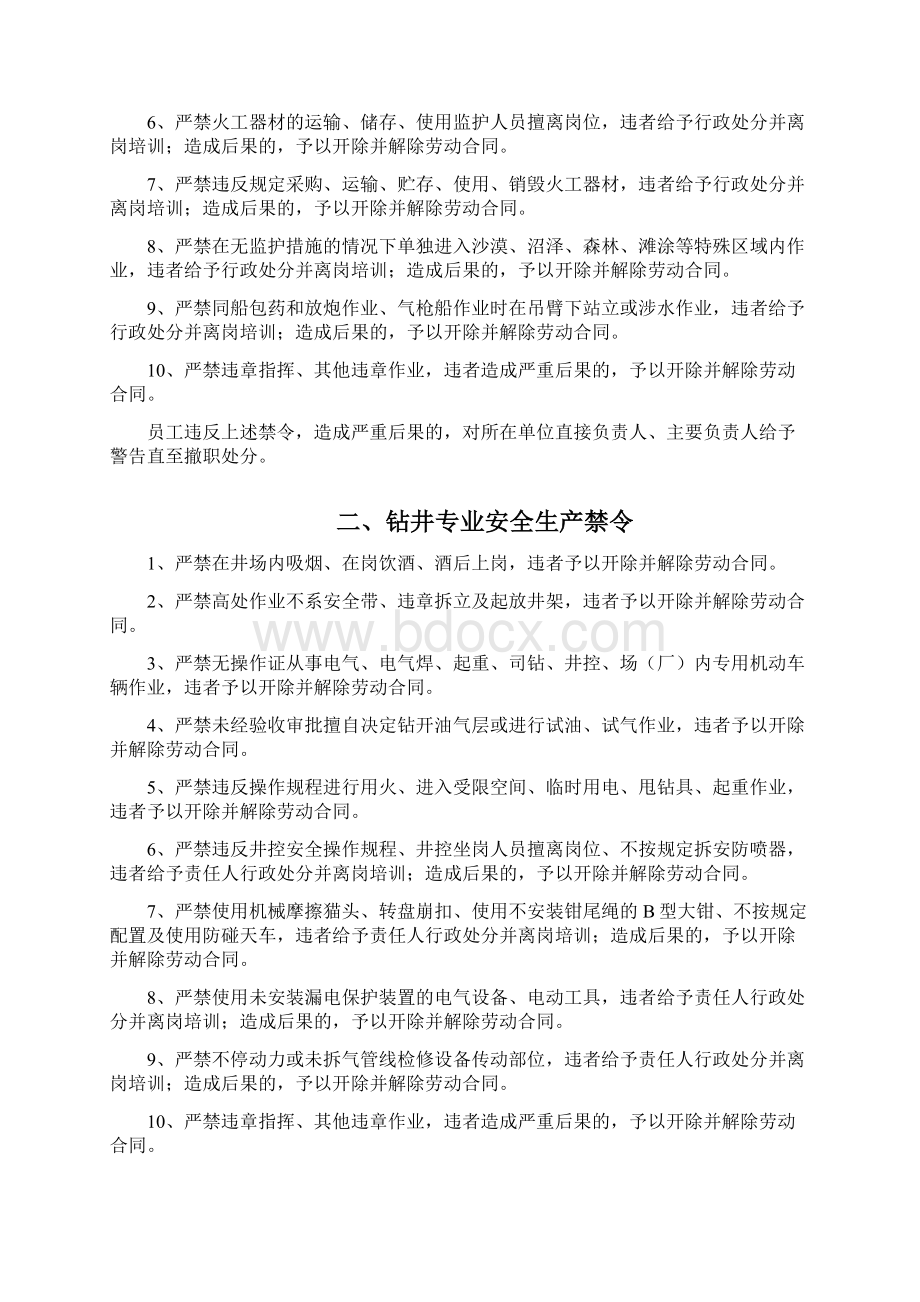 安全生产专业禁令.docx_第2页