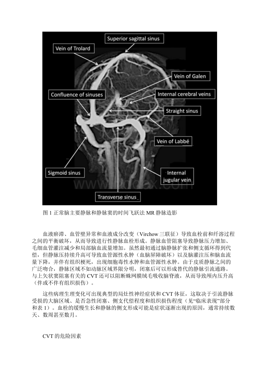 AHAASAESOEAN指南脑静脉血栓形成指南完整版.docx_第2页