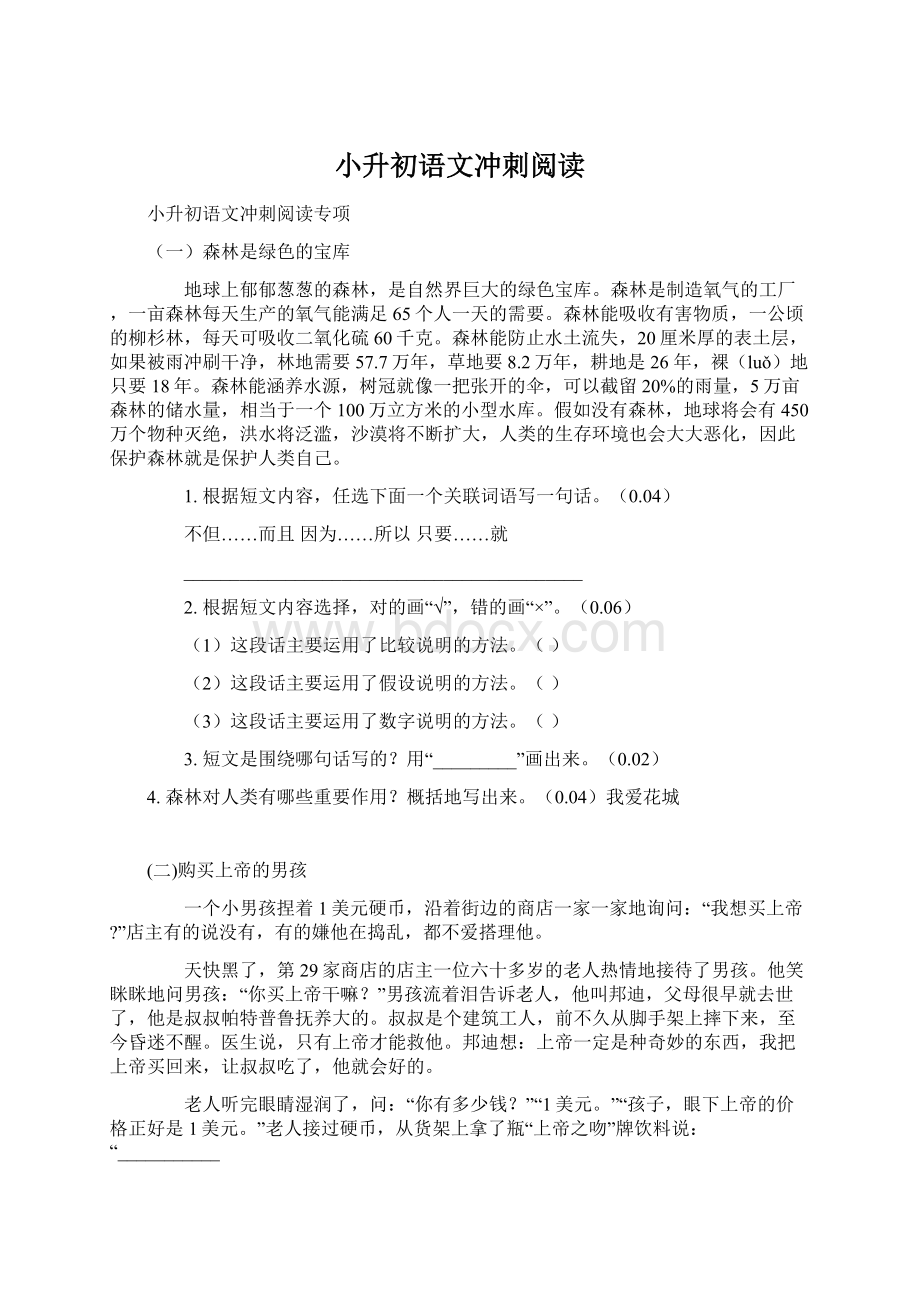 小升初语文冲刺阅读.docx_第1页