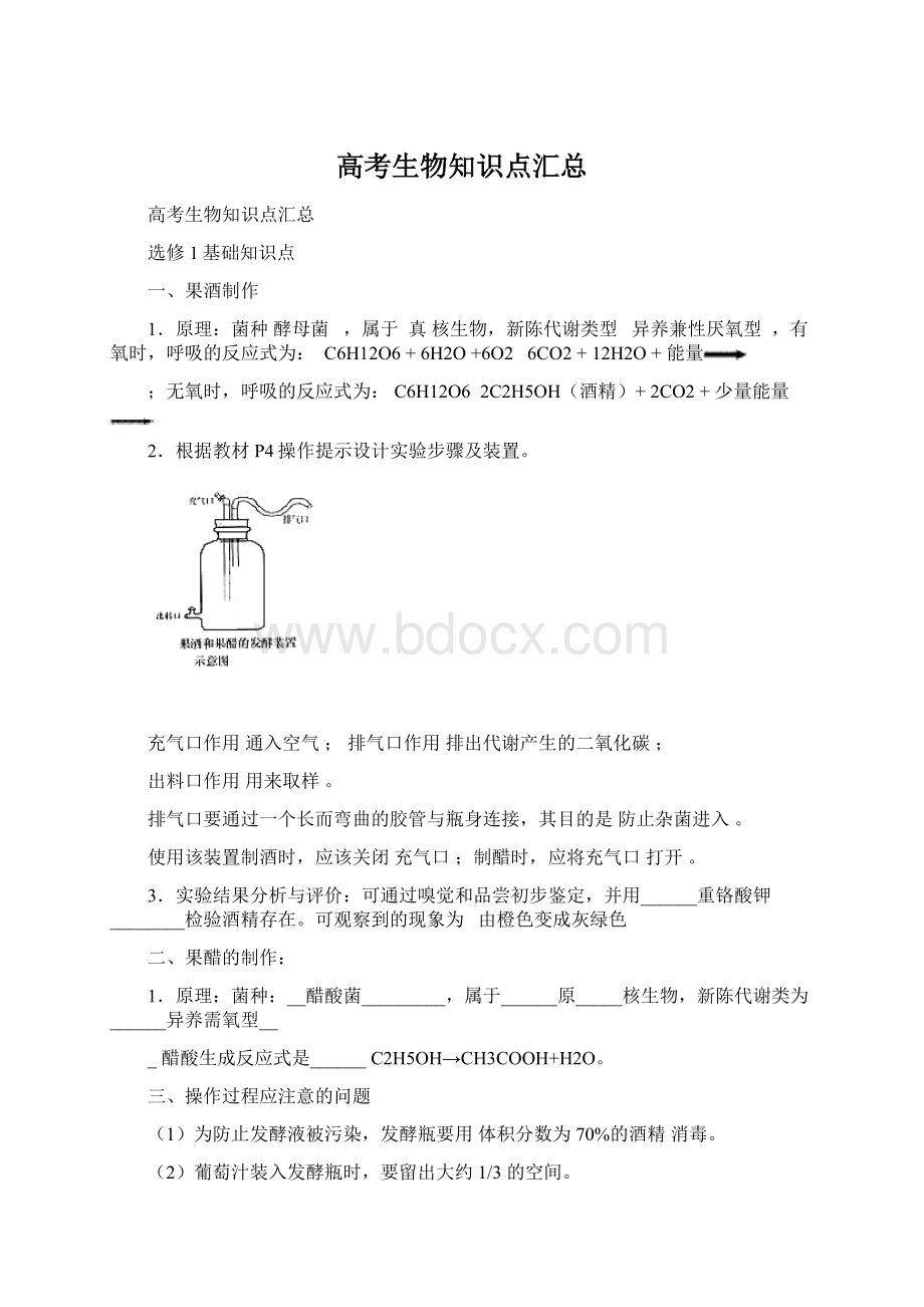 高考生物知识点汇总Word下载.docx_第1页