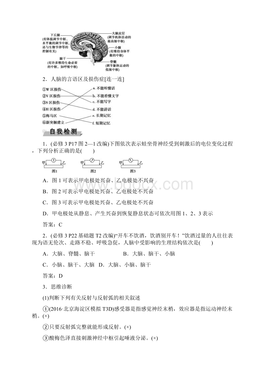 优化方案版高考生物大一轮复习 第八单元 生命活动的调节 第27讲 通过神经系统的调节讲义.docx_第3页