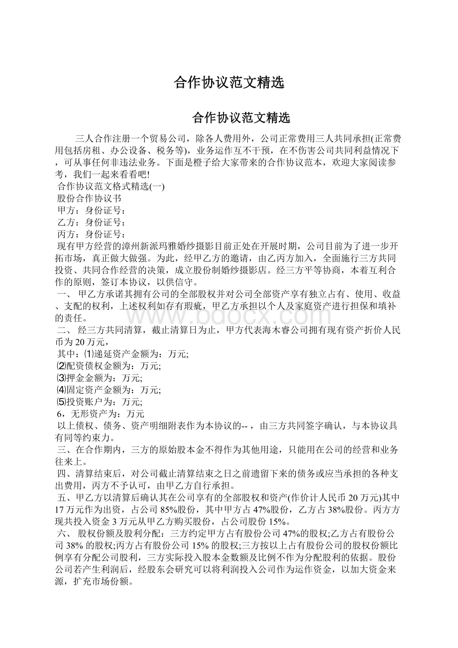 合作协议范文精选文档格式.docx_第1页