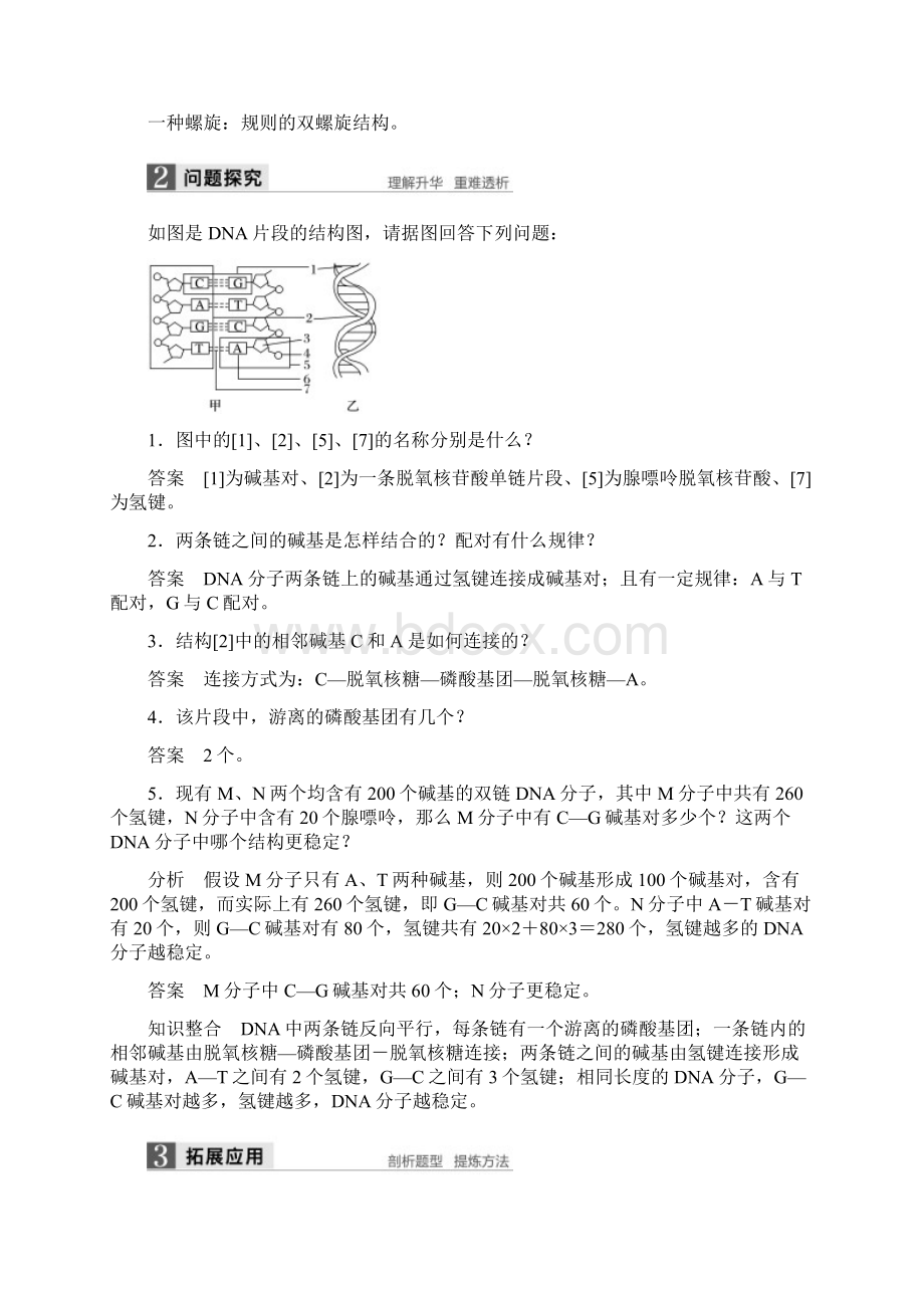 学年高中生物第三章遗传的分子基础第二节DNA的分子结构和特点教学案浙科版必修20309339.docx_第3页