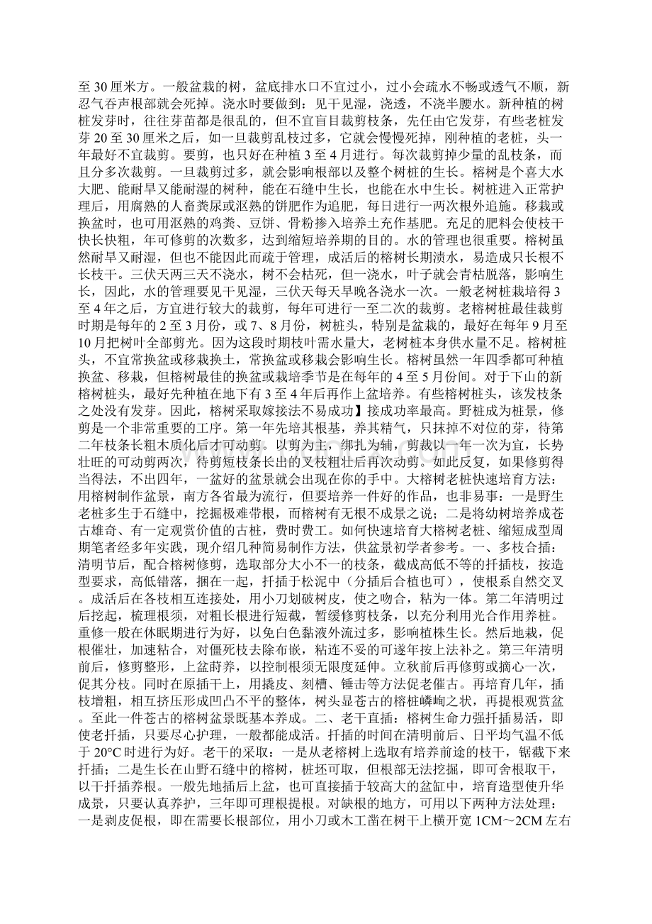 榕树盆景的养殖方法精讲Word文档下载推荐.docx_第2页