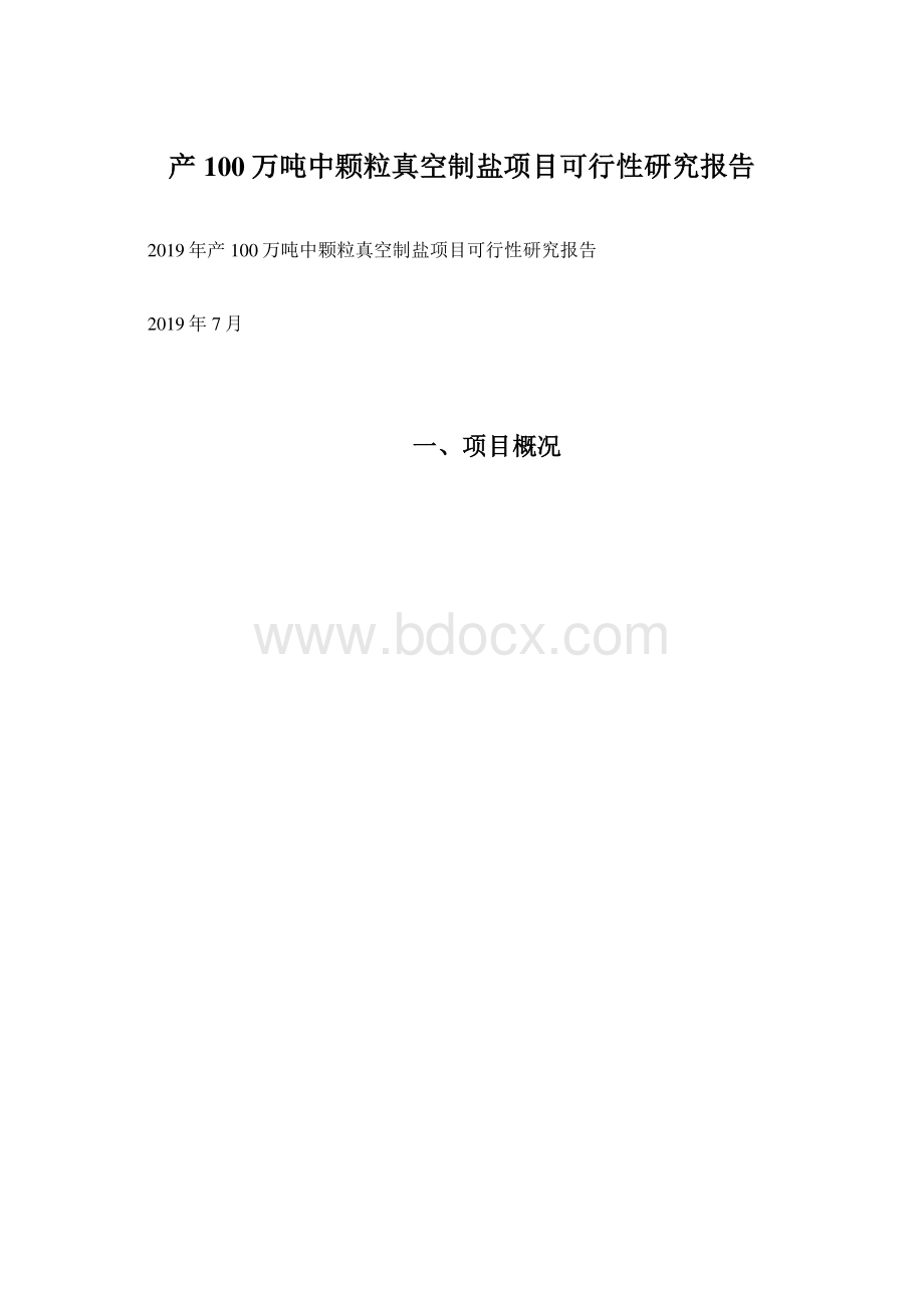 产100万吨中颗粒真空制盐项目可行性研究报告.docx_第1页