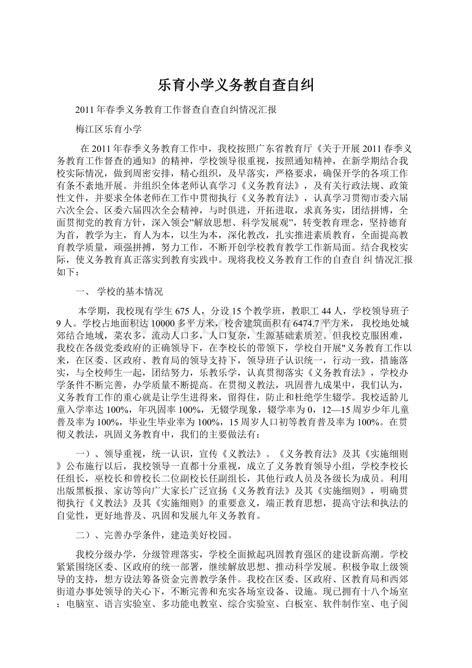 乐育小学义务教自查自纠Word格式文档下载.docx